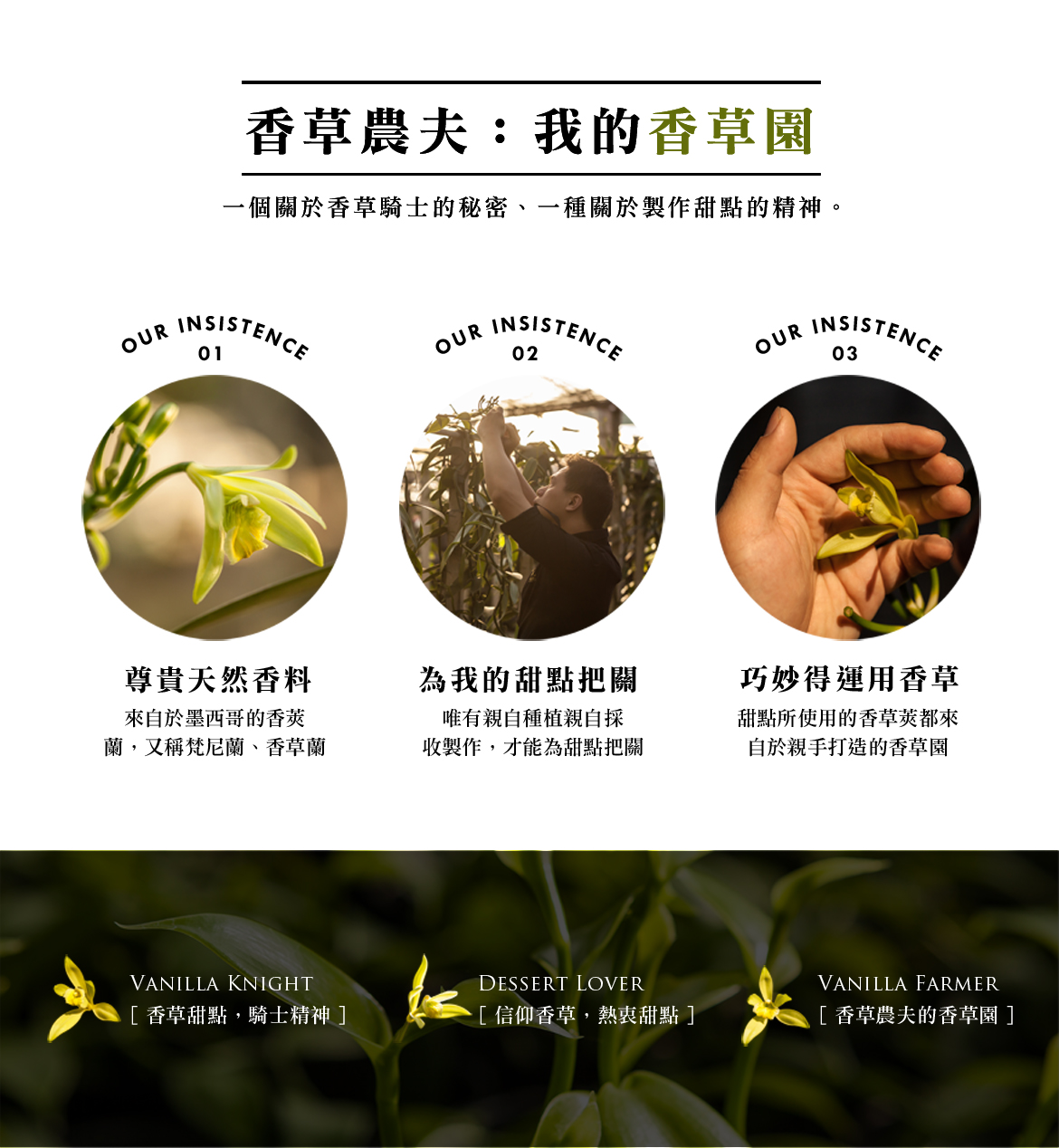 台灣香莢蘭種植-香草莢、香草棒生產